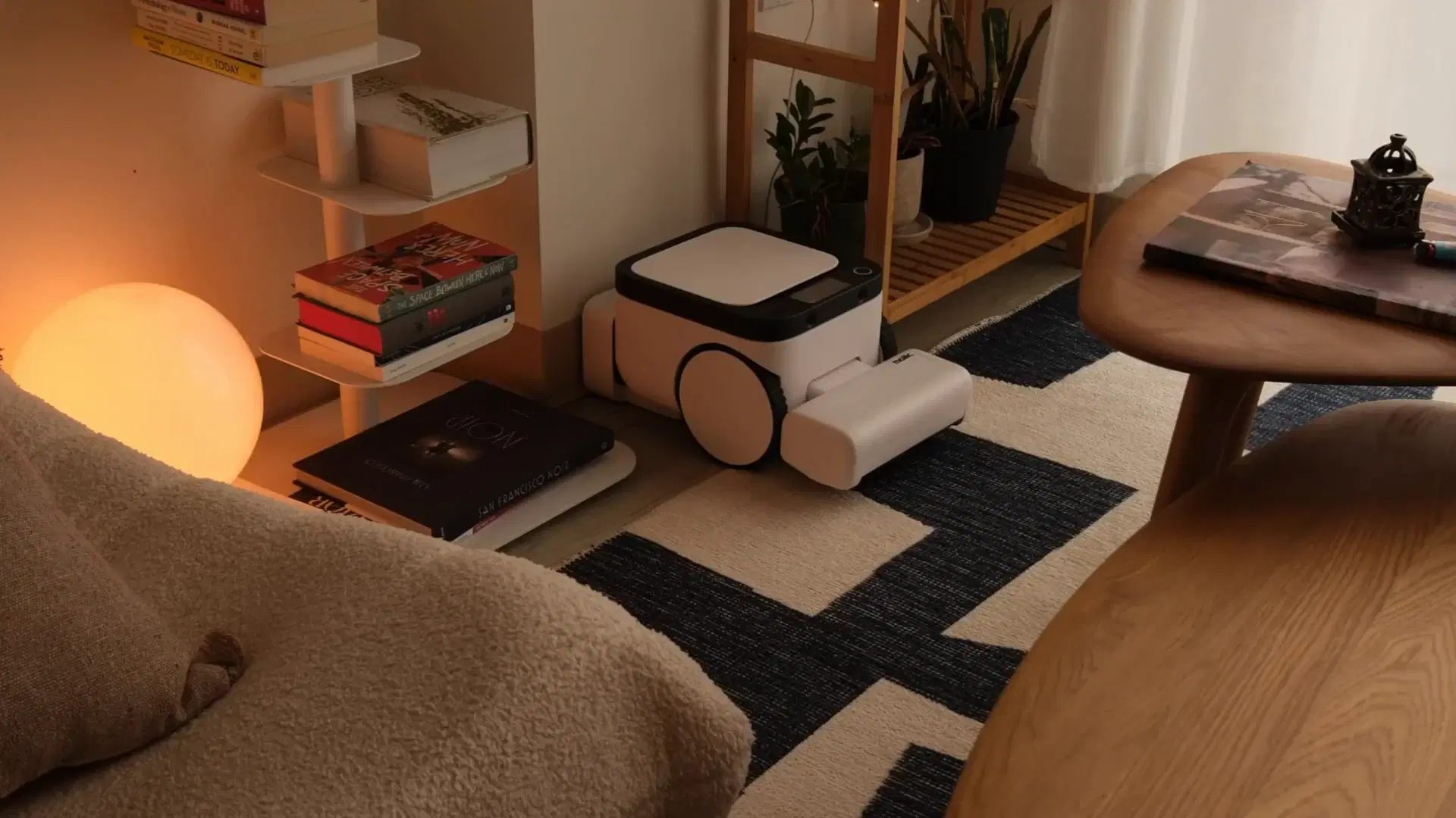 Matic parked beside a bookshelf in a cozy living room