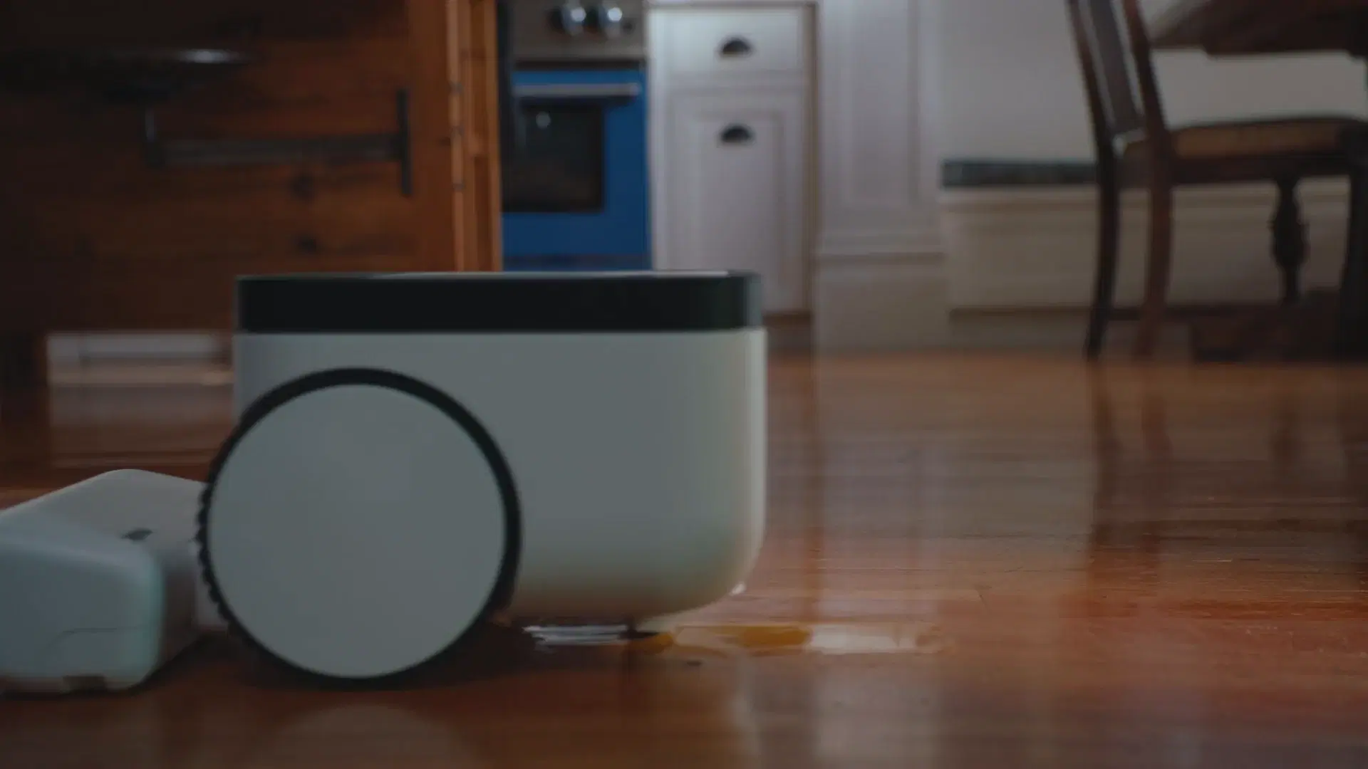 Matic mopping paw prints off a hardwood floor