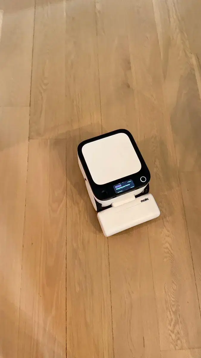 Matic cleaning Shane Parrish's wood floor