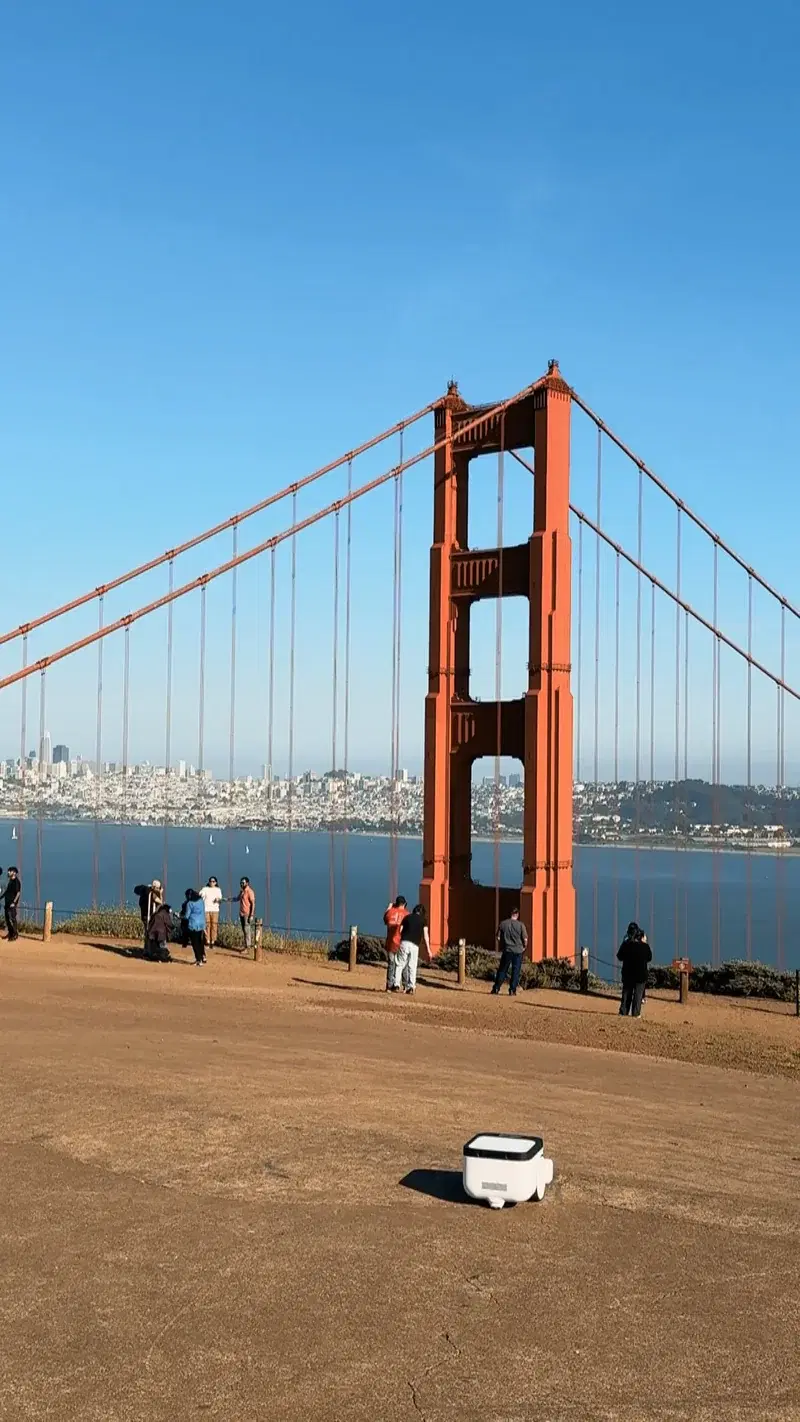 Matic overlooking the Golden Gate Bridge