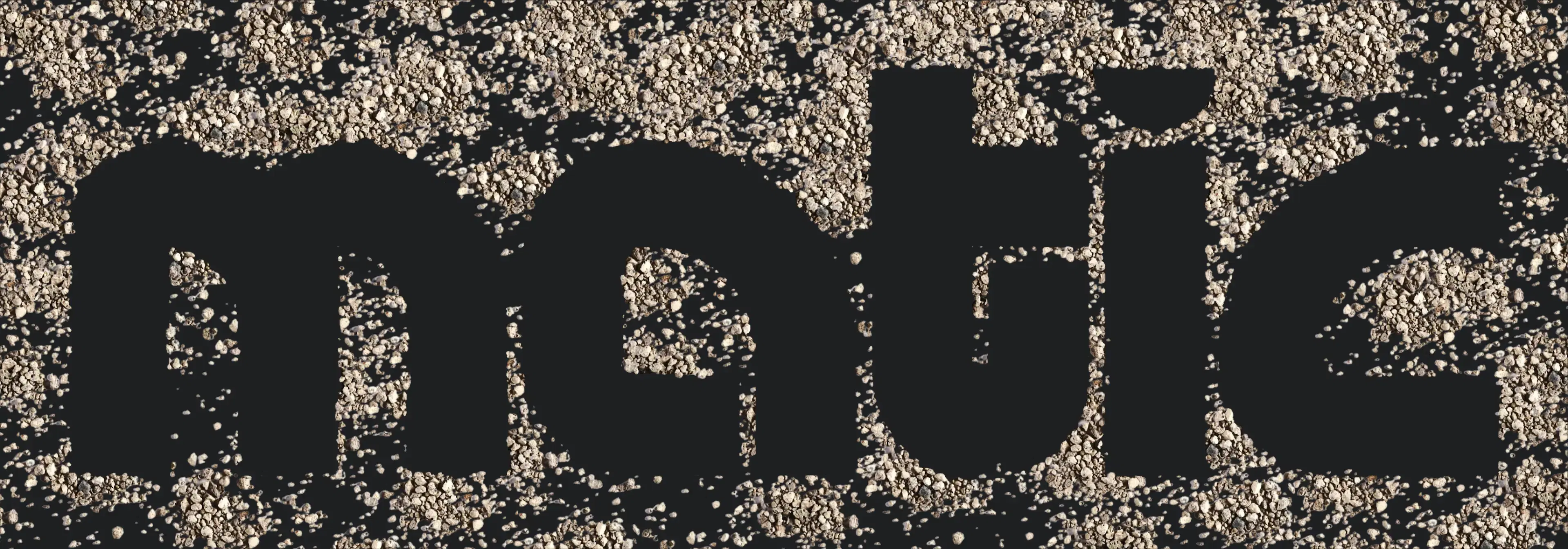 Dirt Image Web