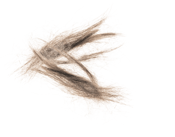 Fur Image